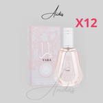 PACK REVENDEUR 50ML